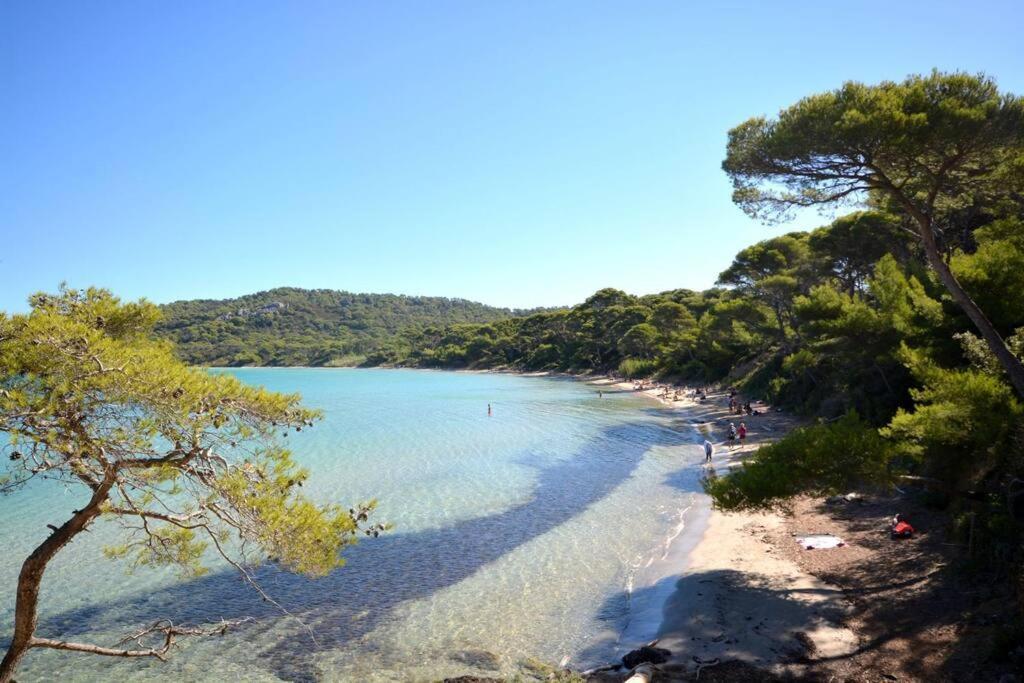 Studio Hyeres Port Et Iles D'Or. Luaran gambar