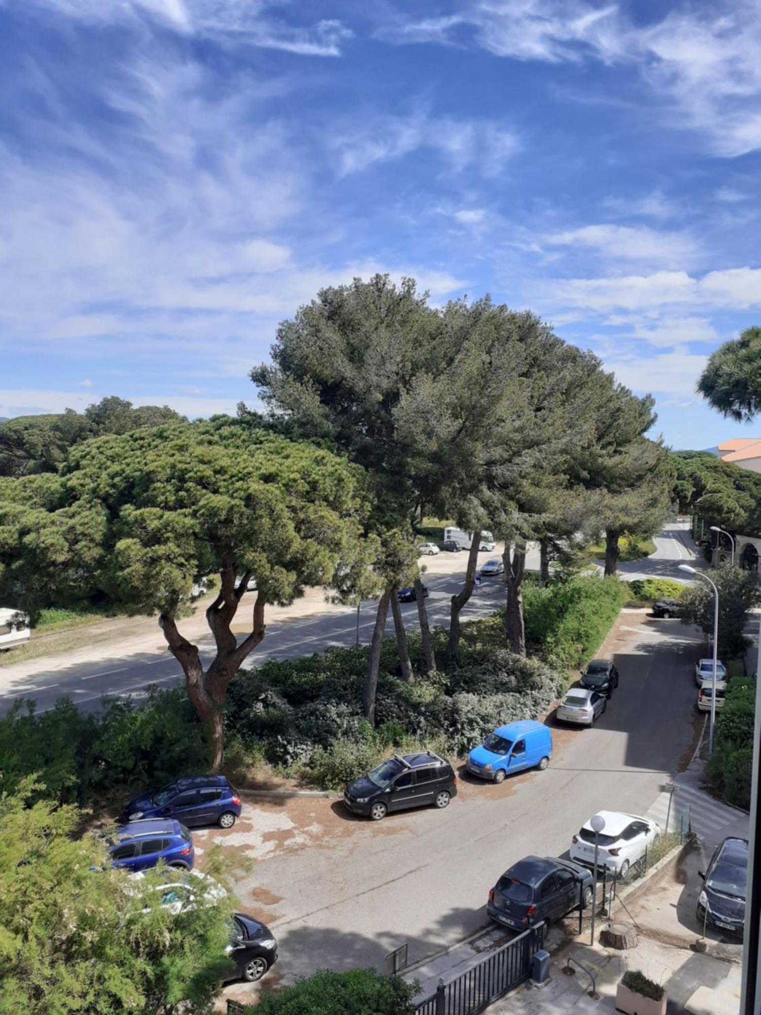 Studio Hyeres Port Et Iles D'Or. Luaran gambar